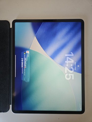 Apple ipad pro 256 gb - apple,